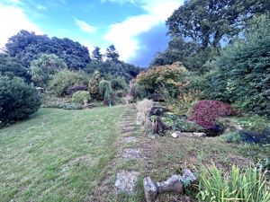 Photo 11- click for photo gallery